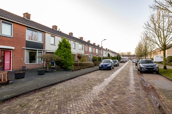 Foto 42 van Jupiter 53