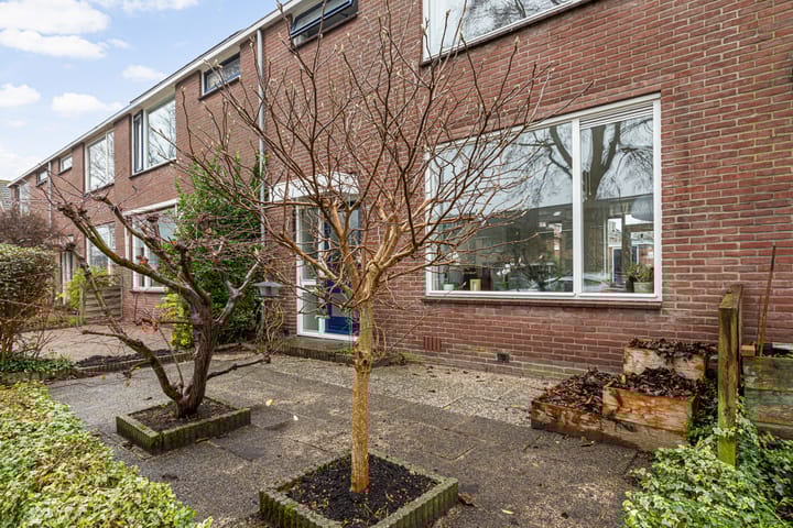 Foto 6 van Blommesteinsingel 71