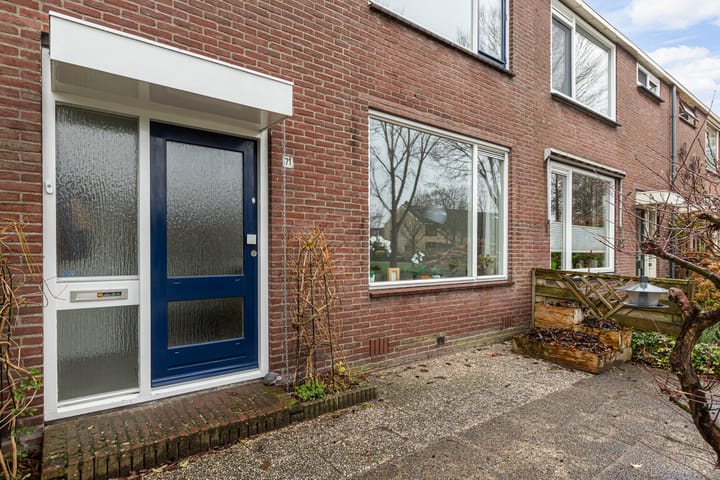 Foto 7 van Blommesteinsingel 71