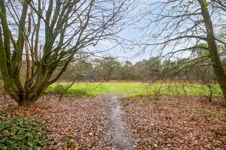 Foto 33 van Kaarderhof 50