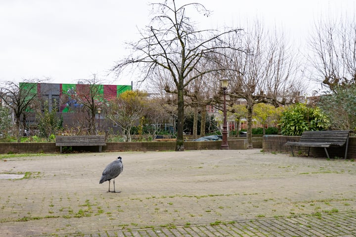 Bekijk foto 31 van Jacob van Lennepkade 127-E