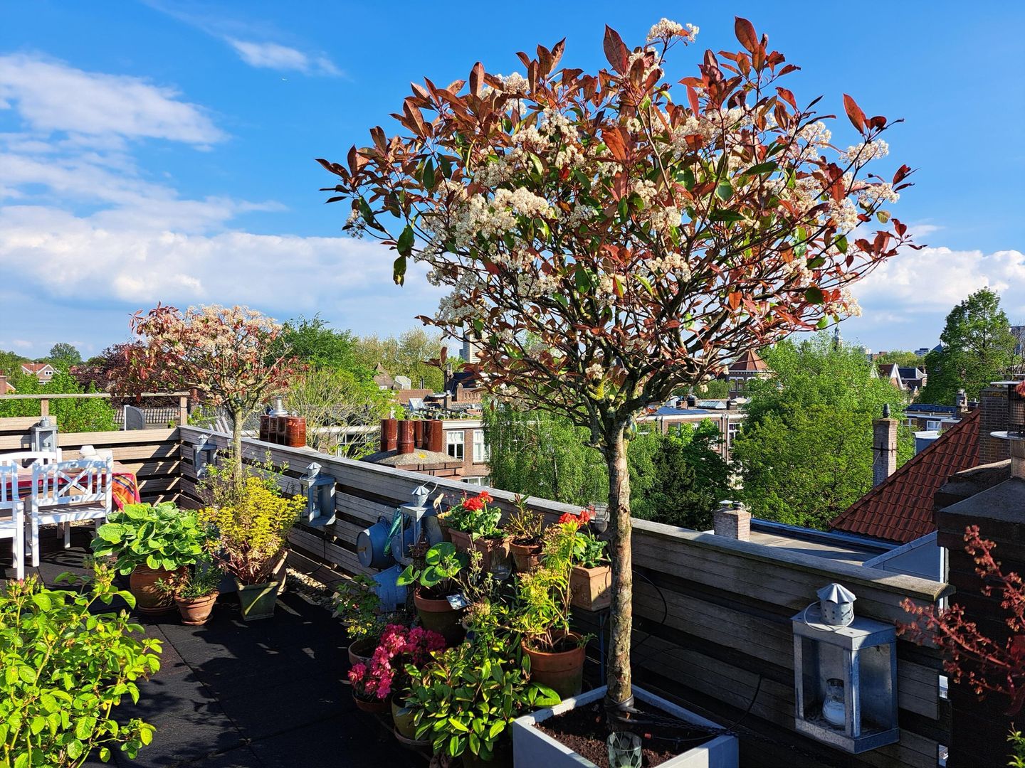 Foto 49 van Rozenburglaan 54-A