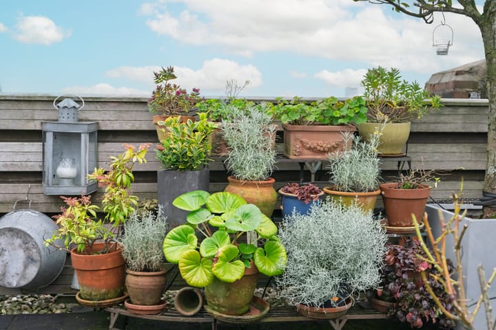 Foto 50 van Rozenburglaan 54-A