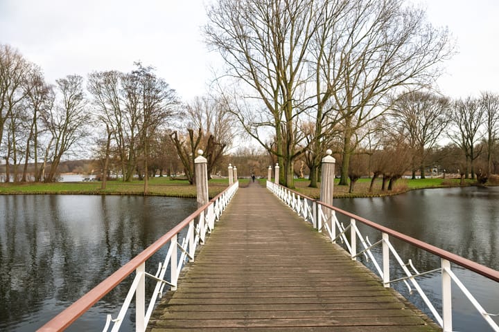 Foto 55 van Rozenburglaan 54-A