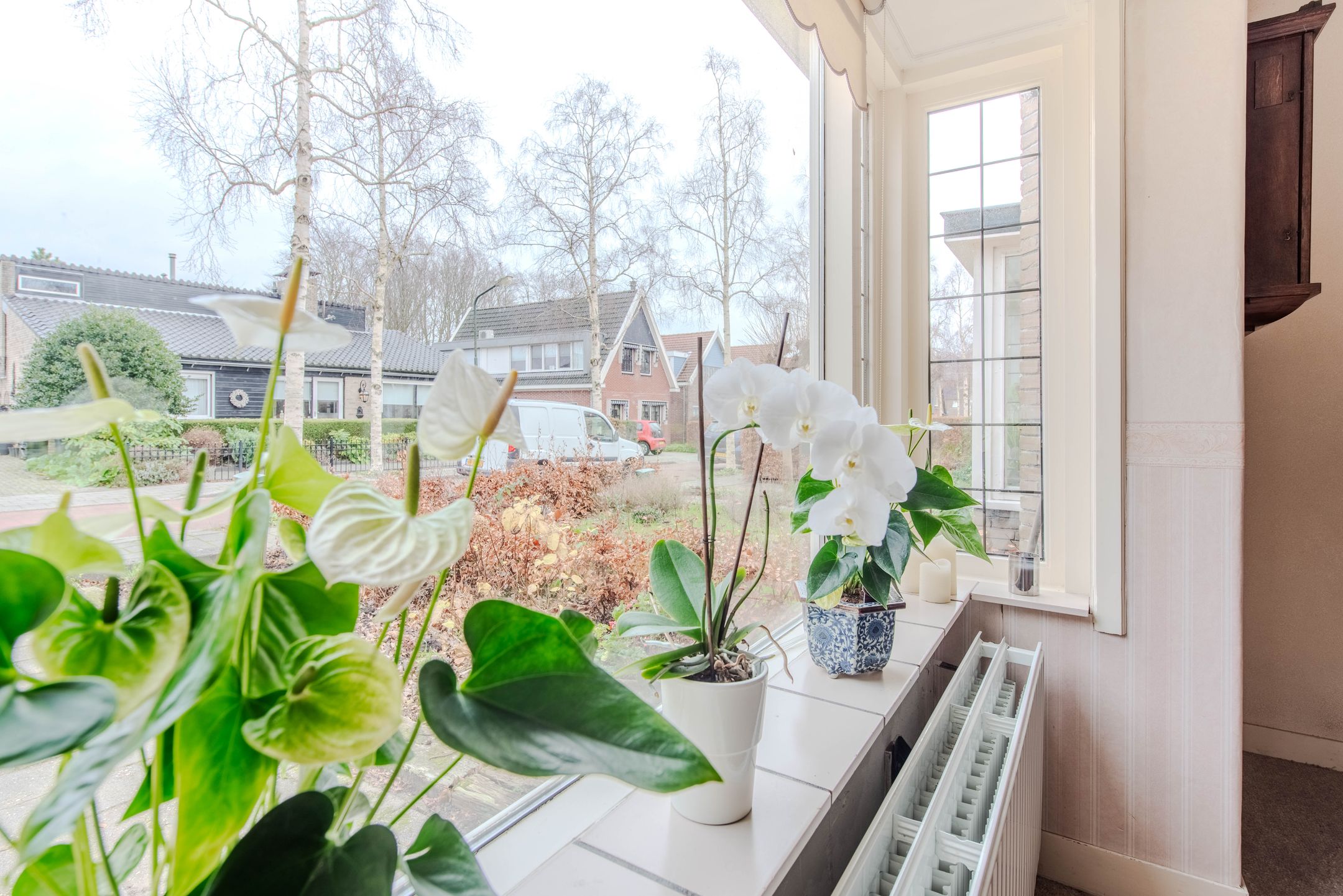 Photo 6 of Burenweg 7