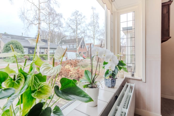 Foto 6 van Burenweg 7