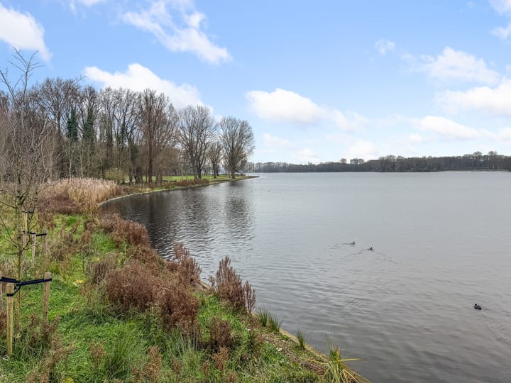 Foto 47 van Tretjakovlaan 11