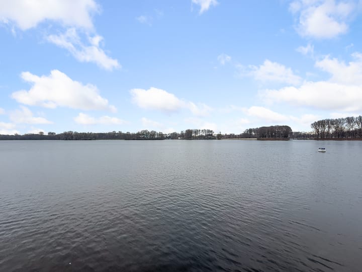 Foto 48 van Tretjakovlaan 11