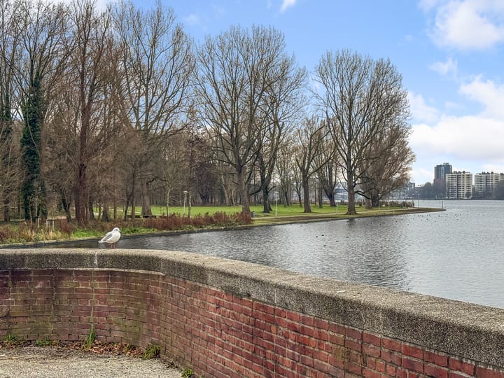 Foto 50 van Tretjakovlaan 11