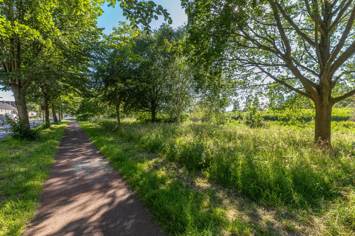 Bekijk foto 36 van Baldwinstraat 14