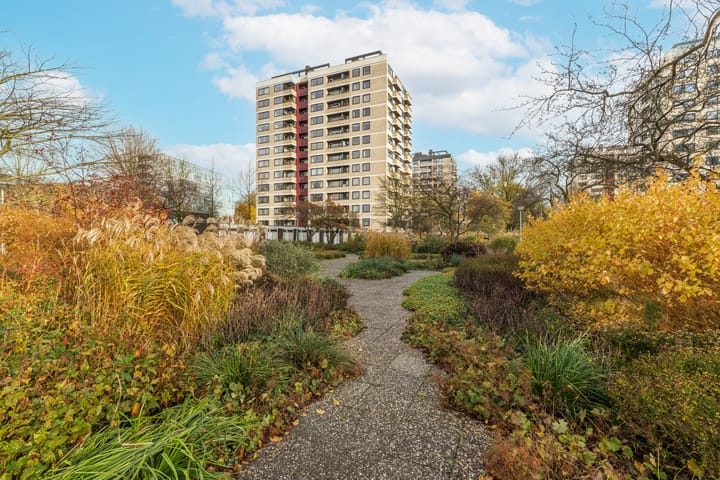 Photo 43 of Vrijzicht 60