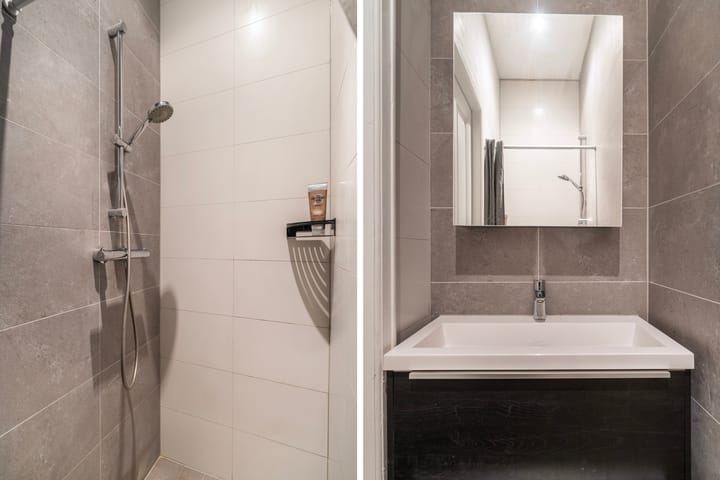 Photo 19 of Fahrenheitstraat 471