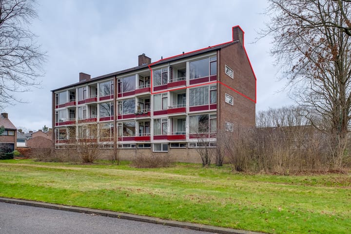 Foto 1 van Vogelplantsoen 41