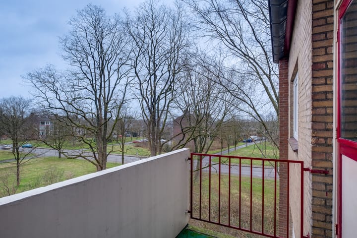 Foto 20 van Vogelplantsoen 41