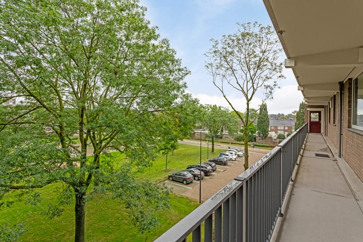 Foto 8 van Maassingel 28