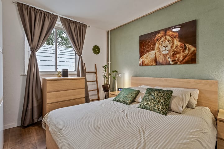 Foto 19 van Maassingel 28