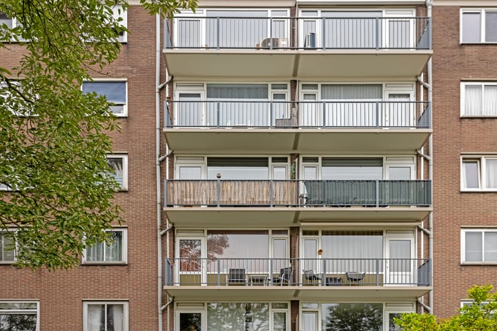 Foto 24 van Maassingel 28