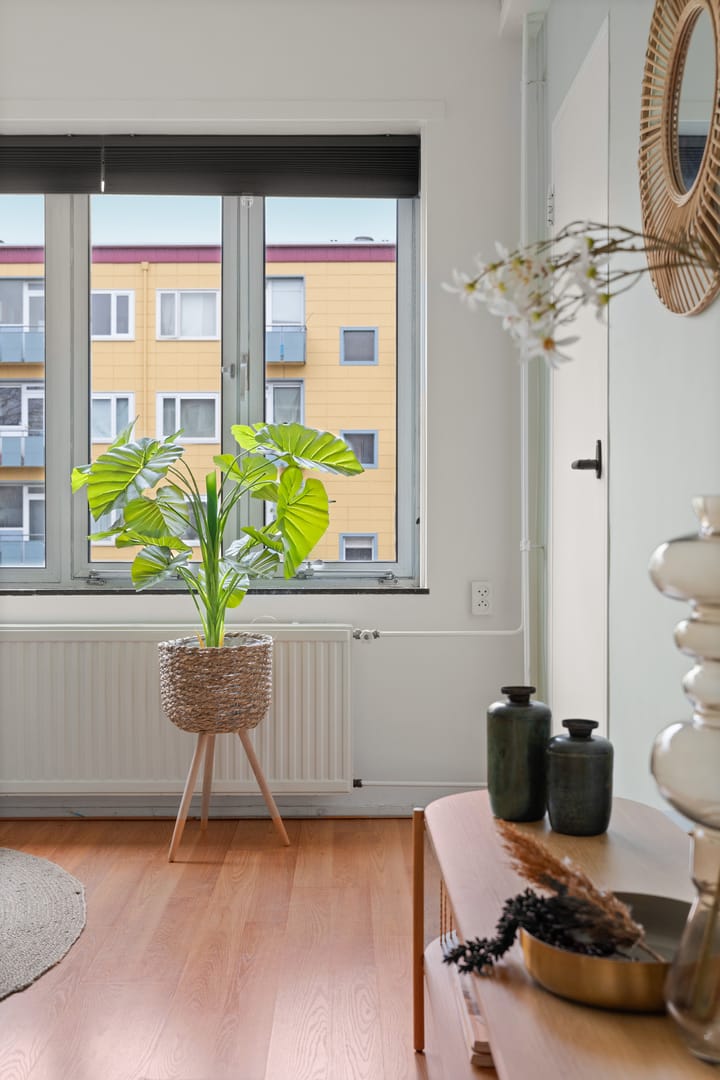 Foto 16 van Wijnbesstraat 79