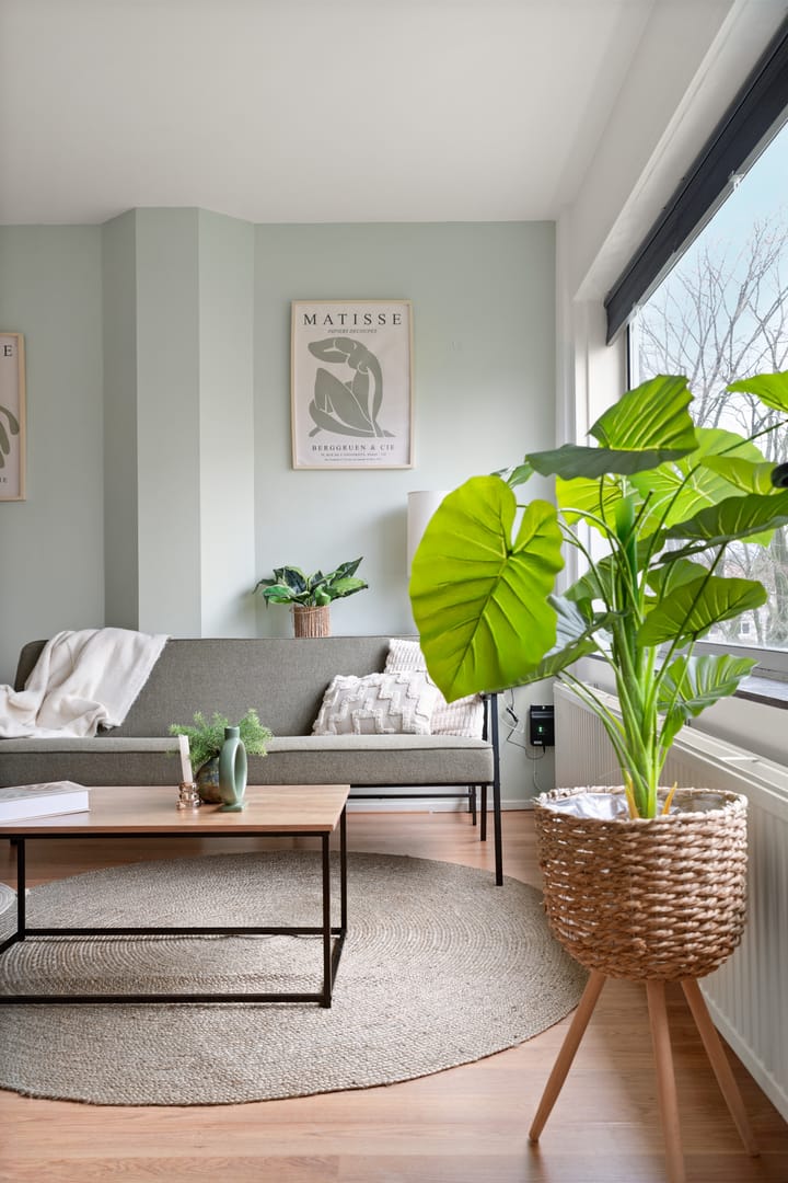 Foto 17 van Wijnbesstraat 79