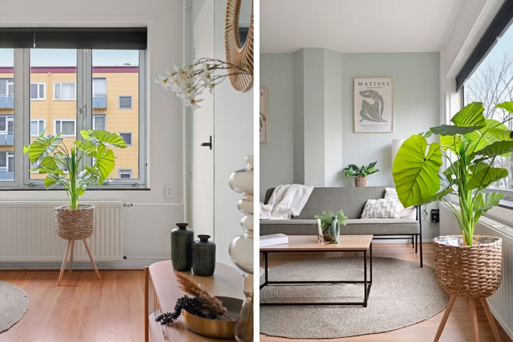 Foto 18 van Wijnbesstraat 79