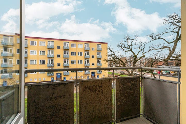 Foto 48 van Wijnbesstraat 79