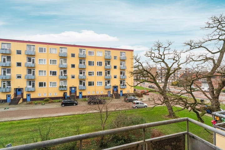 Foto 50 van Wijnbesstraat 79