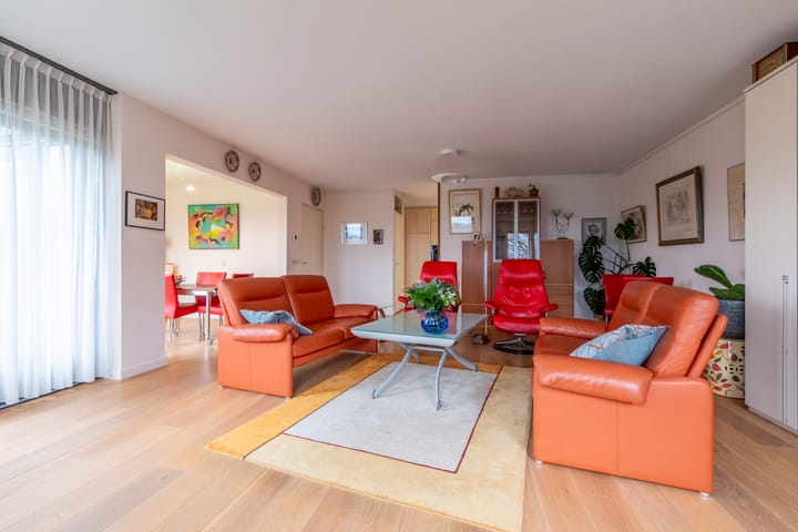 Foto 11 van Rhenendael 113