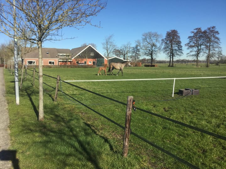 Foto 15 van Kruiskamp 15