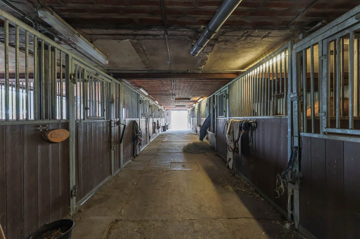 Foto 81 van Kruiskamp 15