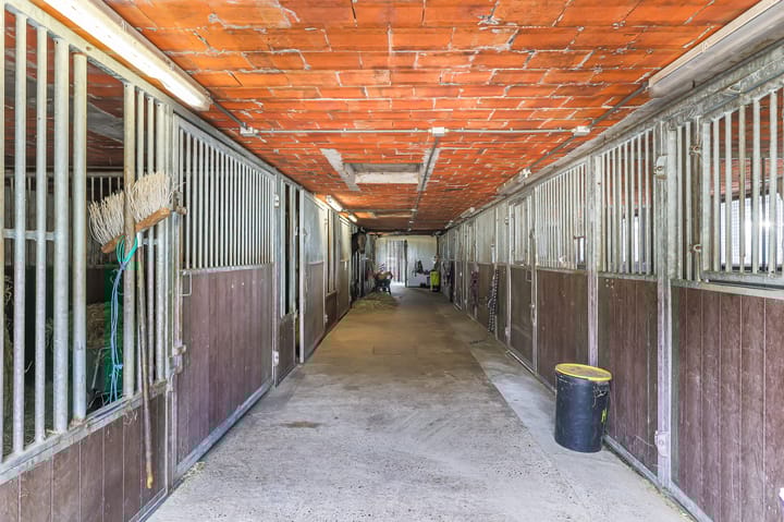 Foto 82 van Kruiskamp 15