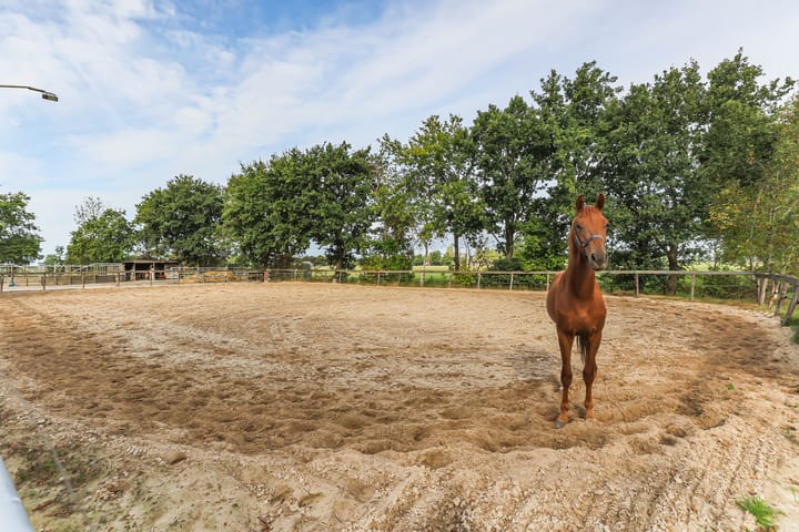 Foto 86 van Kruiskamp 15