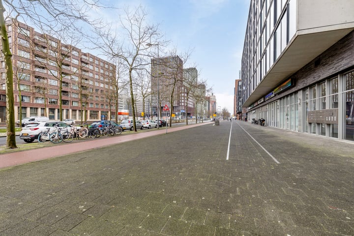 View photo 23 of Laan op Zuid 804