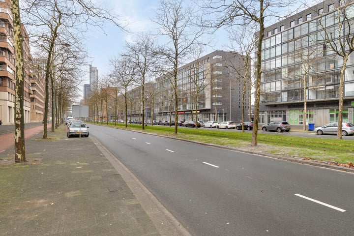 View photo 28 of Laan op Zuid 804