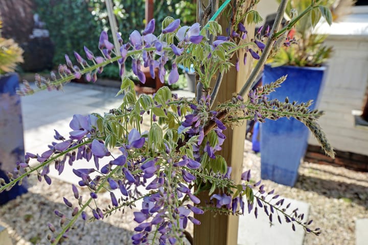 Foto 31 van Munnikenweg 97