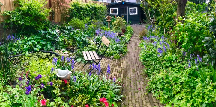 Photo 38 of Bergweg 241-B