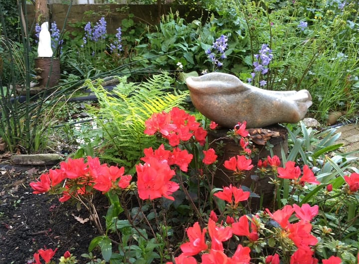 Photo 40 of Bergweg 241-B