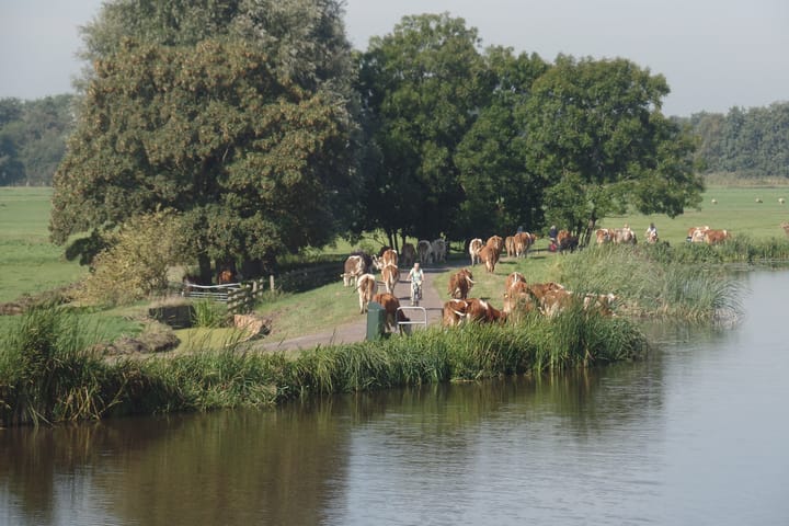 Foto 73 van Nieuwveens Jaagpad 15