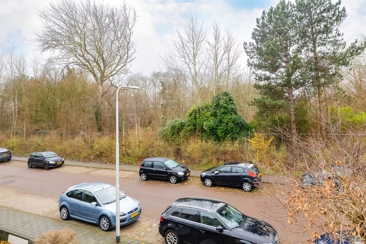 Photo 40 of Grote Hout- of Koningsweg 60