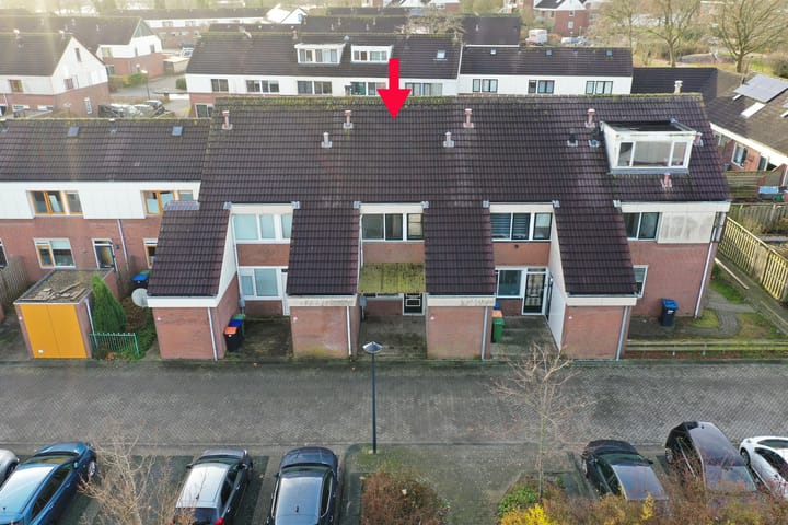 Foto 1 van Punter 39 16