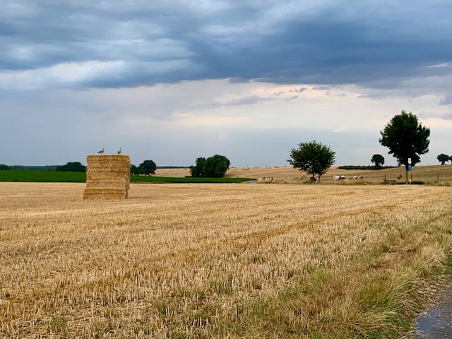 Foto 52 van Maastrichterweg 13