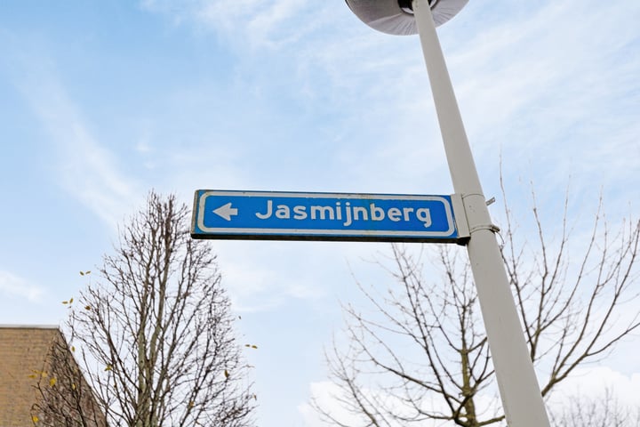 View photo 29 of Jasmijnberg 89