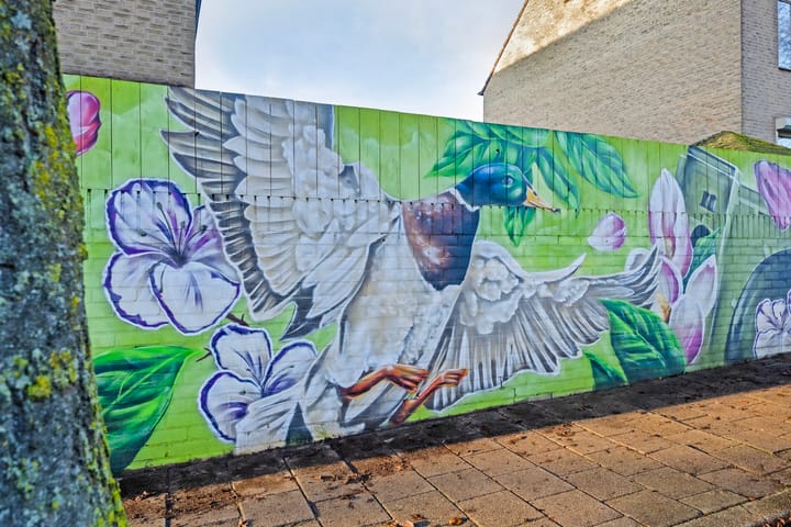 Foto 36 van Heselaan 48