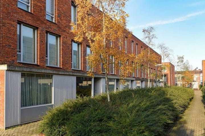 Buys Ballotstraat 55