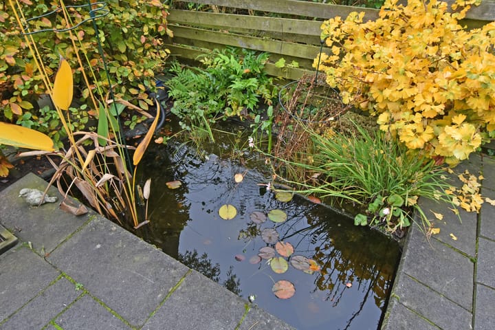 Foto 18 van Toos Poststraat 7