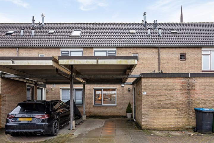 Foto 47 van De Hollentoren 37