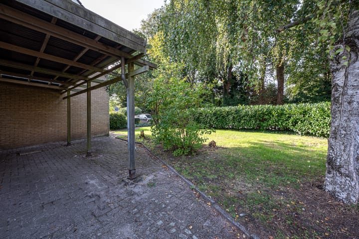 Foto 12 van Meidoornlaan 11