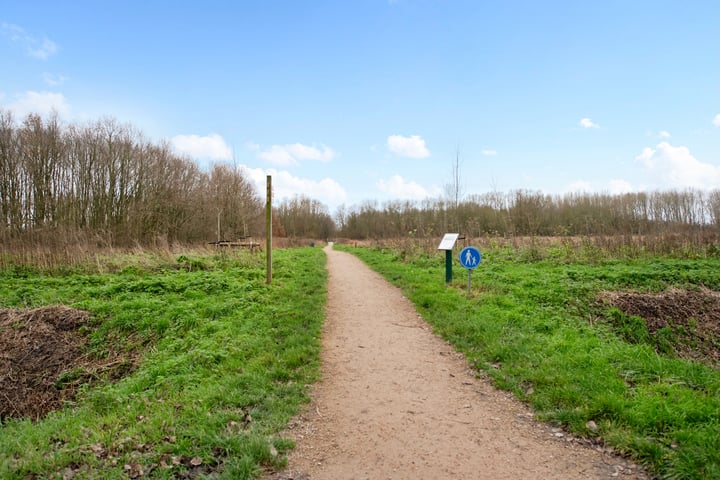 Bekijk foto 37 van Leeuweriklaan 8