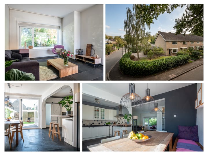 Foto 49 van Meidoornlaan 11