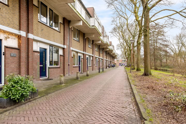 Foto 25 van Jan Palachkade 65