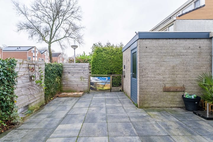 Foto 9 van Raaigras 133